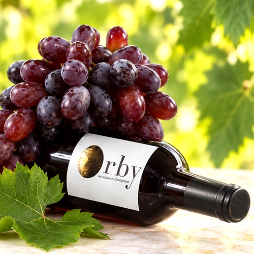 ALICANTE BOUSCHET